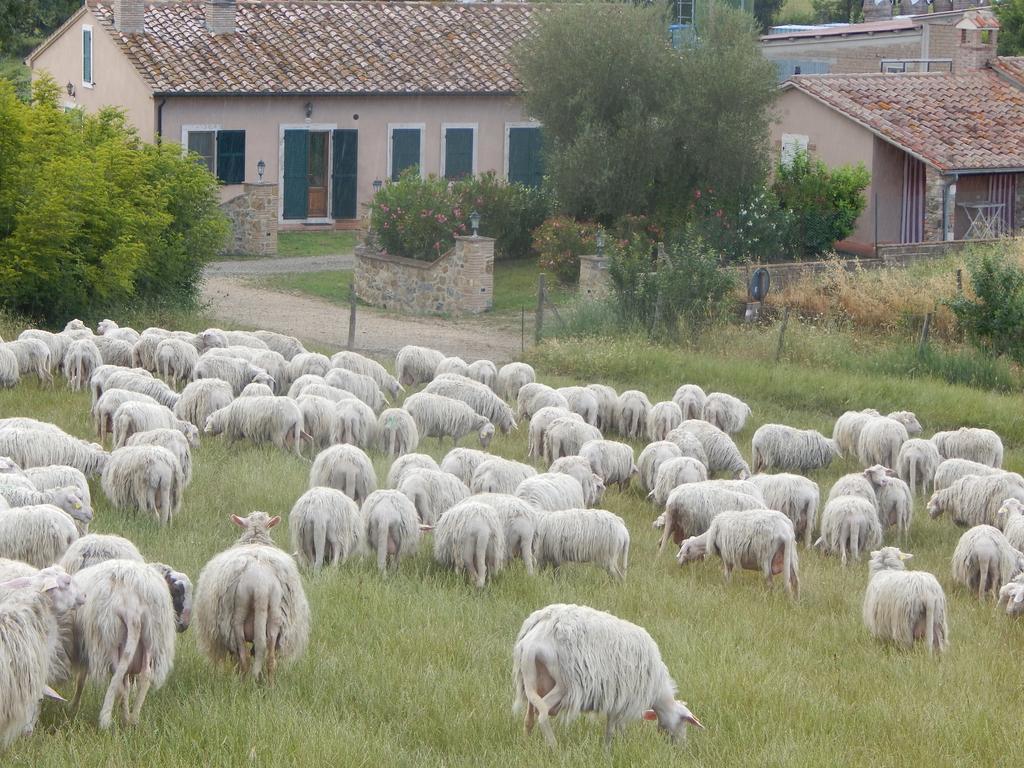 Piane Del Bagno Villa Saturnia Exterior photo