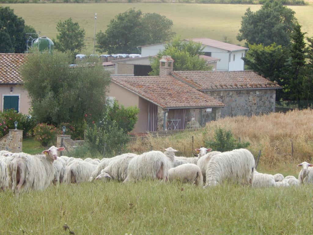 Piane Del Bagno Villa Saturnia Exterior photo