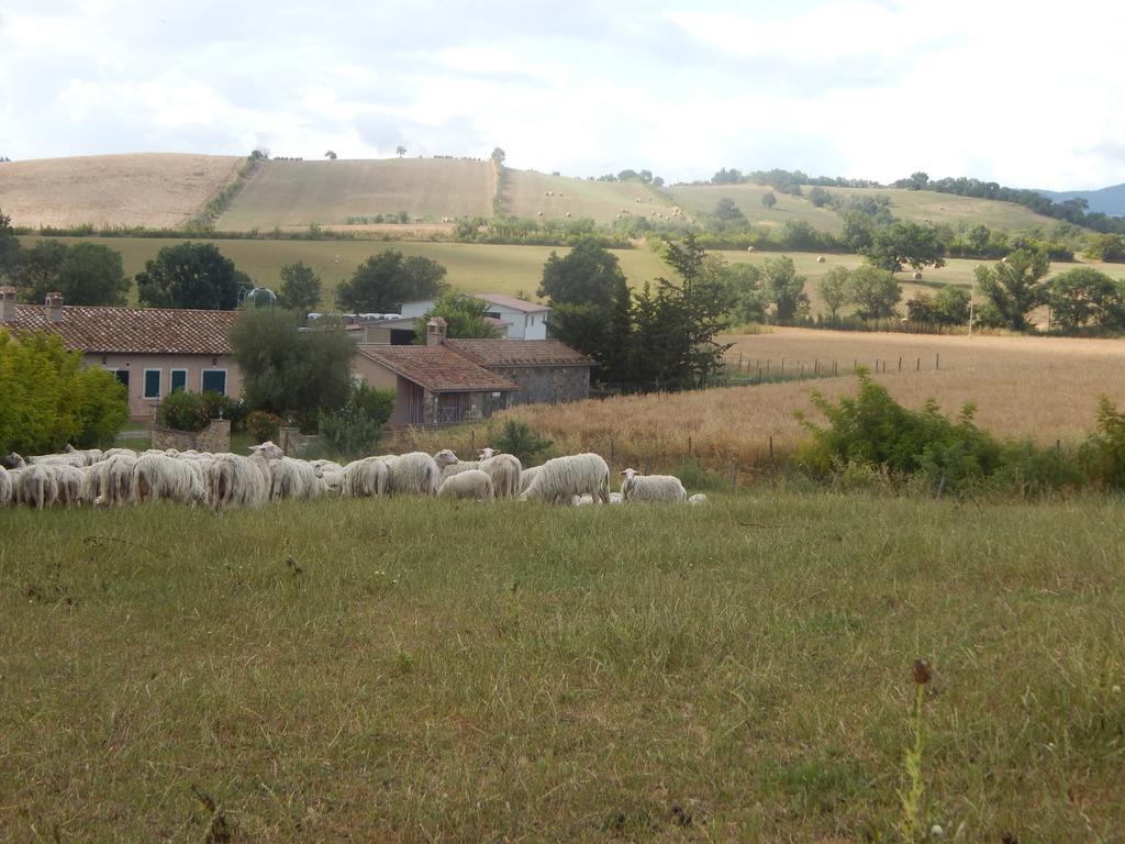 Piane Del Bagno Villa Saturnia Exterior photo