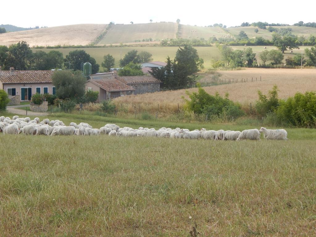 Piane Del Bagno Villa Saturnia Exterior photo